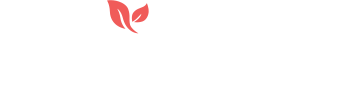 logo ft